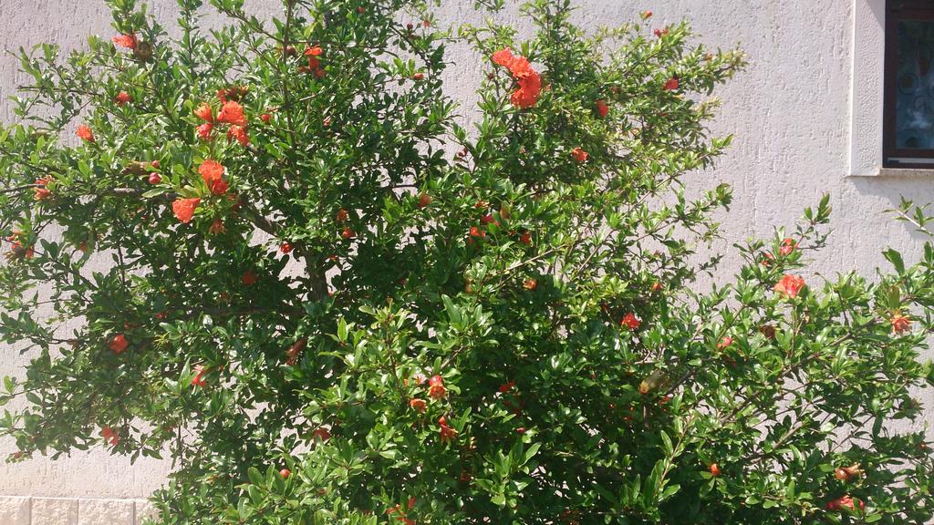 Garden Apartment Maria เวอร์ซาร์ ห้อง รูปภาพ